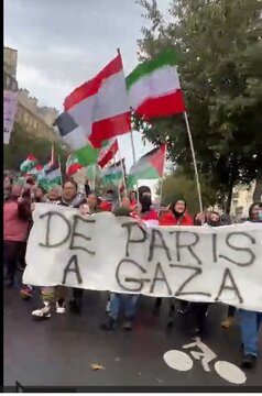 Des Images exclusives d'IRNA des manifestations en France en soutien à Gaza