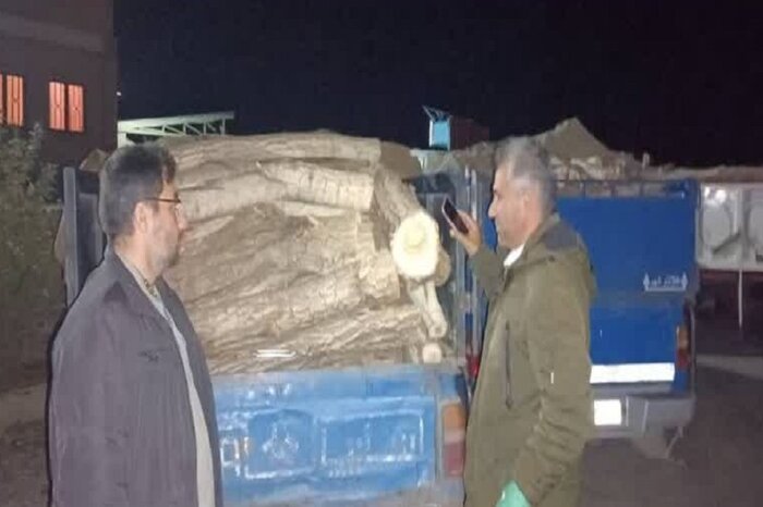   ۲ محموله قاچاق چوب در شهرستان دیواندره کشف شد