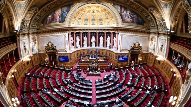 France : Le Sénat a adopté la suppression de l'aide médicale d'État