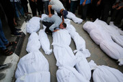 العدوان على غزة... 10818 شهيداً منهم 4412 طفلاً و2918 سيدة
