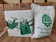 توزیع یک هزار و ۵۰۰ بسته معیشتی در بین مادران باردار و شیرده شهرستان هلیلان