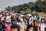 بیش از ۵۰ هزار فلسطینی برای زنده ماندن در یک روز از شمال غزه گریختند
