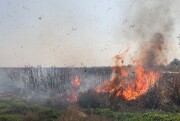 سوزاندن نیشکر و شلتوک عوامل اصلی آلودگی هوای خوزستان