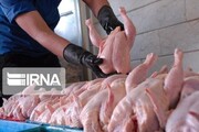 ۶۰ تُن گوشت مرغ منجمد شب یلدا در خراسان شمالی توزیع شد