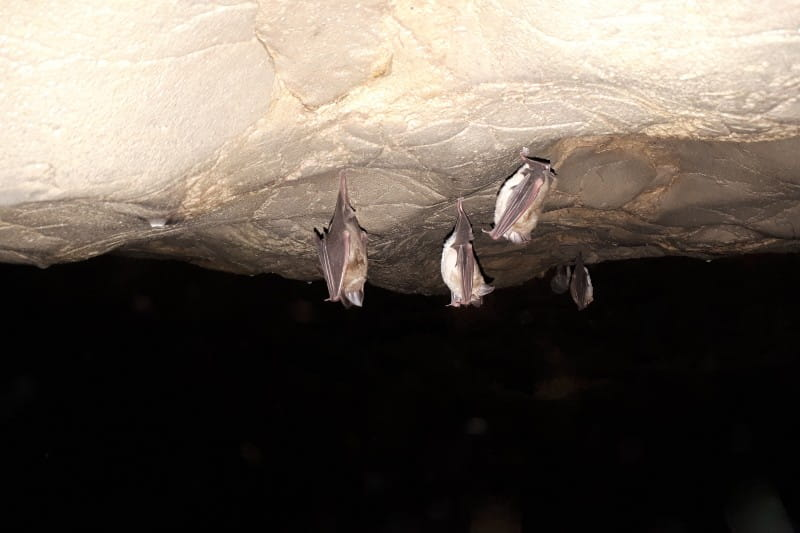 دره آل؛ بهشتی زیبا در حوالی مشهد