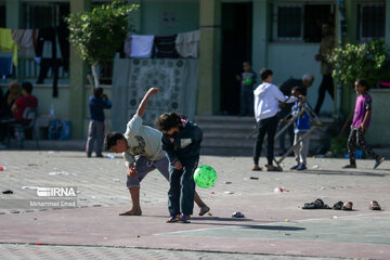 Displaced Gazans accommodated in UN schools