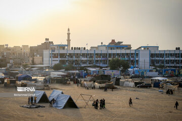 Displaced Gazans accommodated in UN schools