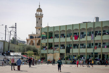 Displaced Gazans accommodated in UN schools