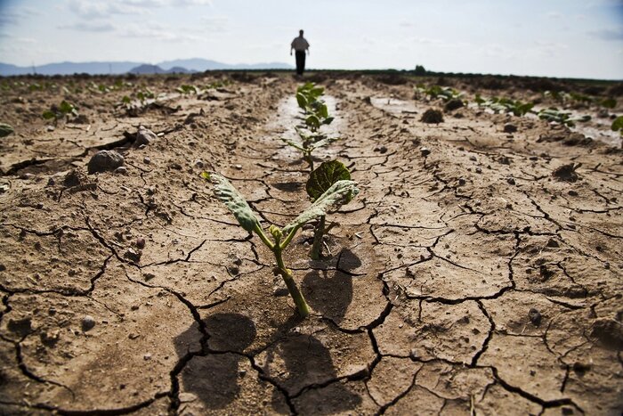 از مرهم دولت بر زخم مقبره الشعرا تبریز تا حماسه حضور پای صندوق های رای