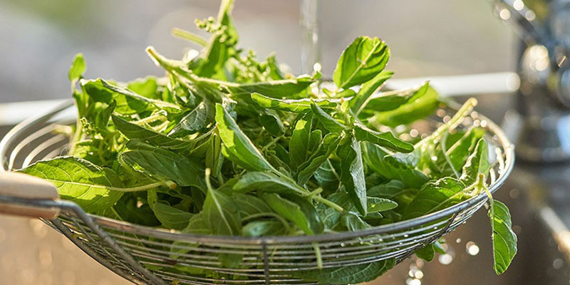 اشتباهات خطرناک خانمها در شستشوی سبزیجات