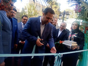 امکان اقامت ۱۶۰ نفر به ظرفیت هتل های شیراز افزوده شد