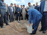 کاشت ۵۴۰ هزار درخت با یاد شهدای غزه در کرمان آغاز شد+فیلم