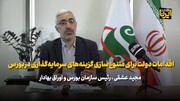 عشقی: اقدامات دولت برای متنوع سازی گزینه های سرمایه گذاری در بورس