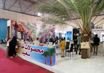 مقصد عمده خرمای صادراتی استان بوشهر کشورهای آسیایی است