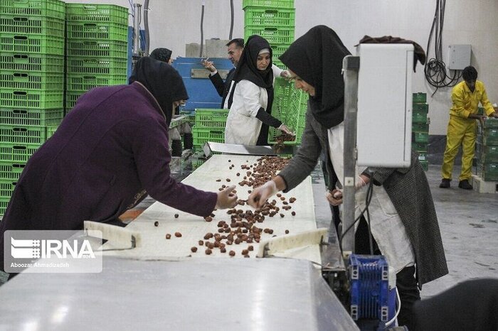 افزایش نرخ مشارکت اقتصادی دستاورد ماندگار دولت در مازندران