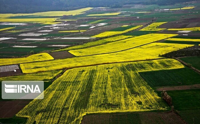 مدیران امور اراضی کشور در قم راهکارهای حفاظت از زمین‌های کشاورزی را بررسی کردند