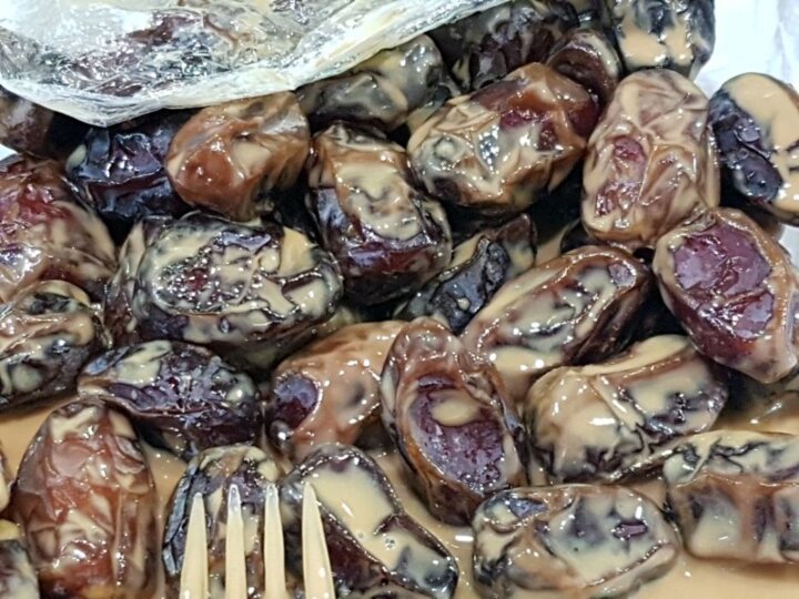 حال ناخوش نخلداران بوشهری