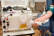 اهدای پلاکت خون در کاشان ۱۴ درصد افزایش یافت