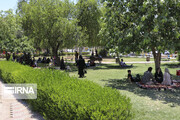 ۲۹ درصد از چمن فضای سبز اصفهان با گونه‌های کم آب بر جایگزین شد