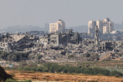 نحو 50 شهيدا في مجزرة صهيونية جديدة بحي الصبرة وسط قطاع غزة