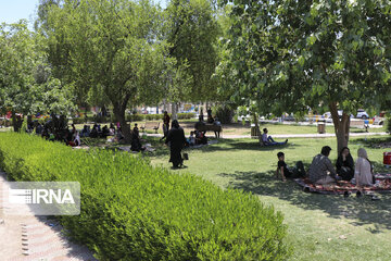 ۲۹ درصد از چمن فضای سبز اصفهان با گونه‌های کم آب بر جایگزین شد