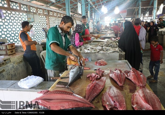 بازارچه دائمی عرضه ماهی در خرم آباد ایجاد شد