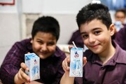 طرح توزیع شیر رایگان در مدارس دولتی ابتدایی مازندران آغاز شد
