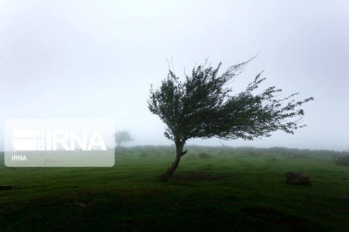 افزایش پوشش ابر و وزش باد پدیده غالب کردستان در هفته جاری است