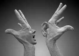 قرآن درباره یک کلاغ چهل کلاغ چه میگوید؟