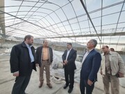 راهبرد دولت سیزدهم برای شکوفایی ظرفیت های کشاورزی در کهگیلویه و بویراحمد