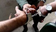فروشندگان سکه تقلبی در "مرند" دستگیر شدند