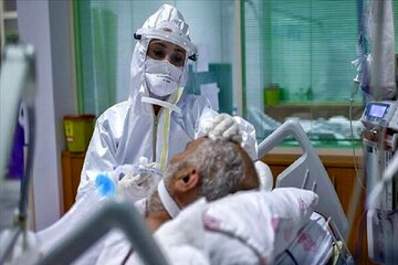 ۲۸۳ بیمار کرونایی در فارس بستری هستند