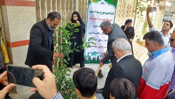 دوستدار محیط زیست در بوشهر ۲۰۰ نهال غرس کرد