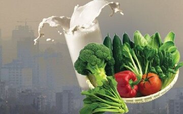 توصیه‌های تغذیه‌ای در شرایط آلودگی هوا/ضرورت مصرف مایعات، لبنیات و میوه‌ها