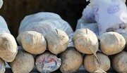محموله ۴۶۱ کیلوگرمی مواد مخدر در کرمان کشف شد