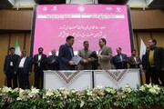 تفاهم نامه همکاری بین دانشگاه جندی شاپور دزفول و برق منطقه‌ای باختر امضا شد