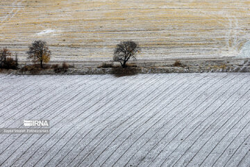 Tombe la neige …