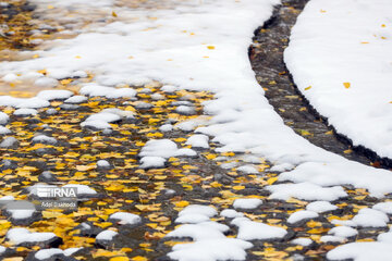 Tombe la neige …