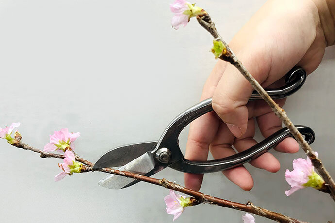 «ایکهبانا»؛ هنر سنتی گلآرایی ژاپنی