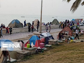 رئیس شورای بوشهر: شهرداری نصب چادر در ساحل را ممنوع کند