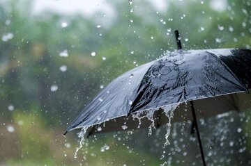 بارندگی در تایباد خراسان رضوی ۳۶ درصد افزایش یافت