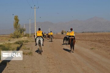 سوارکاران برتر قزوینی در رشته استقامت شناخته شدند