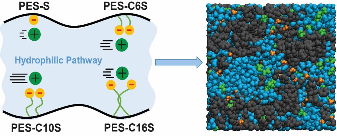 محققان دانشگاه امیرکبیر موفق به بهینهسازی غشاهای پلیالکترولیت شدند 2 محققان دانشگاه امیرکبیر موفق به بهینهسازی غشاهای پلیالکترولیت شدند