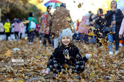 Autumn festival with colorful leaves in western Iran