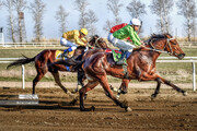 Horse racing in Iran's Gonbad Kavous