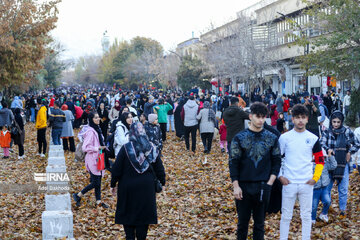 Autumn with colorful leaves in western Iran