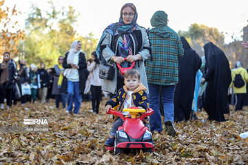 Autumn with colorful leaves in western Iran