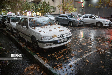 Beauties of fall in Tehran