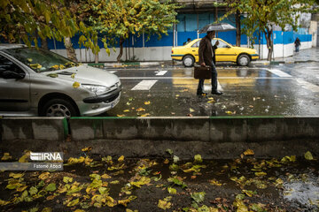 Beauties of fall in Tehran