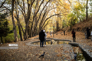 Beauties of fall in Tehran